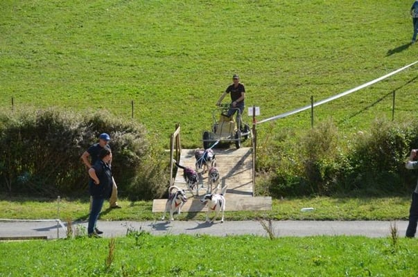 Passieren der Brücke und unmittelbar danach Überqueren der Strasse.