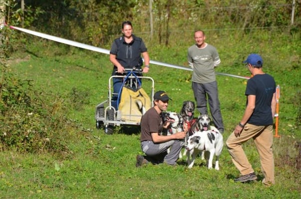 Warten, mentale Kontrolle.