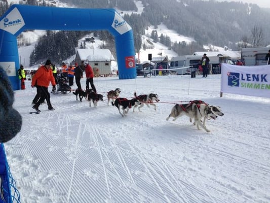 Chrigu's Team am Start.