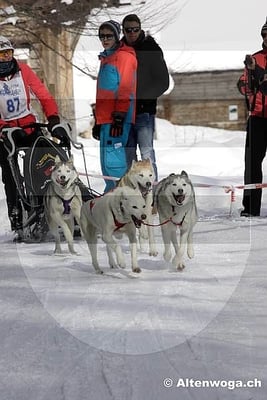 Salome mit motivierten Hunden im Zieleinlauf.
