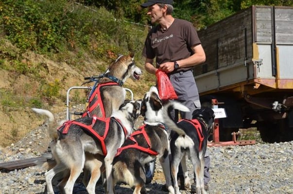 Alle wollen einen Snack ergattern.