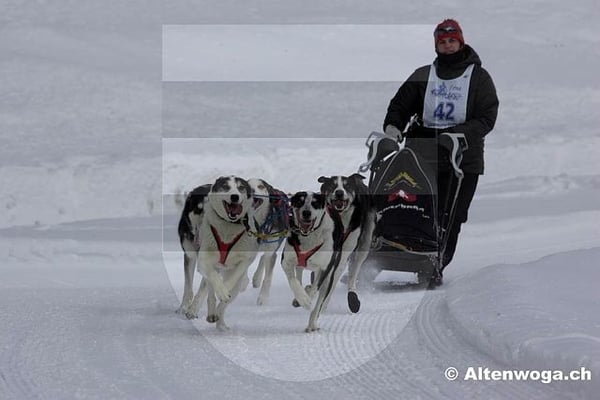 Gaby's Team in voller Fahrt!