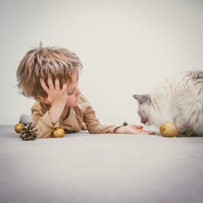 Verein Familie Kinder Katze Tiere