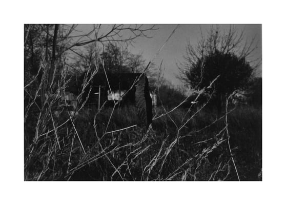 Strange Vista, ca. 1955