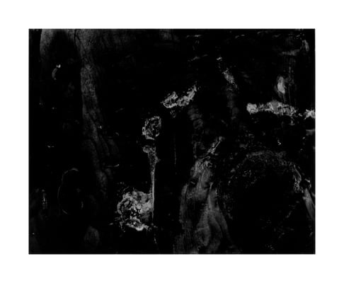 Untitled (Lichen and Fungus on Tree Trunk), 1957