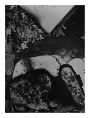 Detritus, Interlochen, MI, 1958