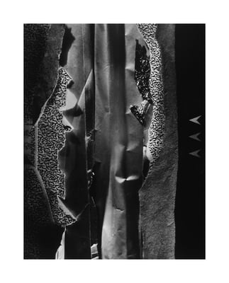 Chautauqua 100, 1991