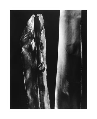 Noumenon 486, 1984-85