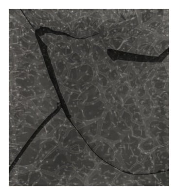 Dancing Window Boston, 1958, Revisited (reticulated negative), 2010