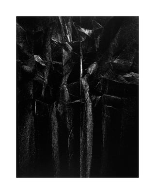 Woods 529, 1983 (Iris Print)
