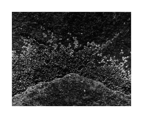 Barnaclescape ca. 1957-65