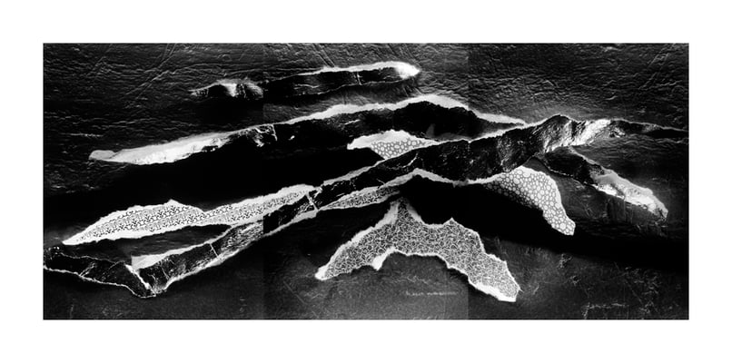 Untitled 224, 213, 218, 1993