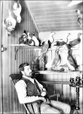 Monsieur Paradis, taxidermiste