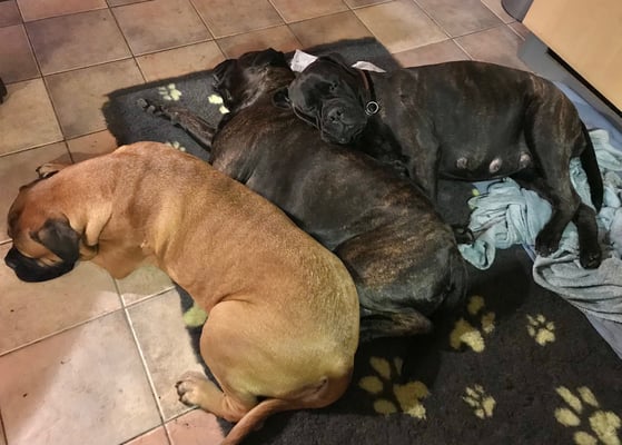 Ondersteund door haar halfzus Doris en zus Caro