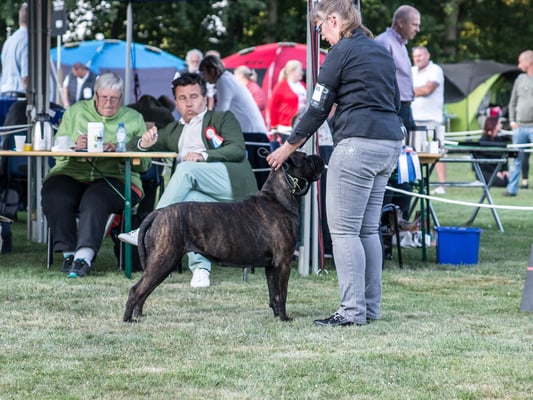 7 juli 19 dogshow Echt