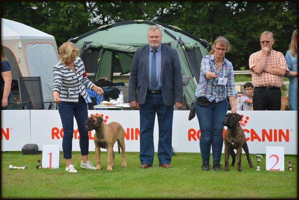 Sjors 2 veel belovend baby klasse op Belgische Clubmatch 2017