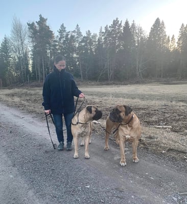 rechts staat Viking 8 jaar oud