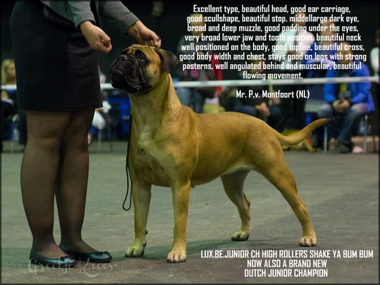 Nederlands jeugdkampioen!