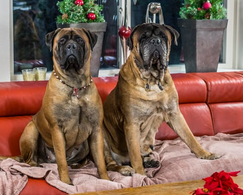 Stacey en Neeltje dec. 2025