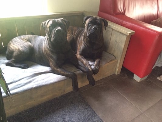 Doris en mama Blacky