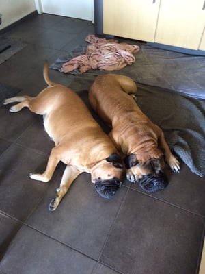 mama Roos en Neeltje