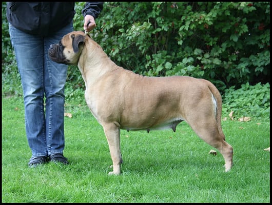 moeder van Roos: Sientje