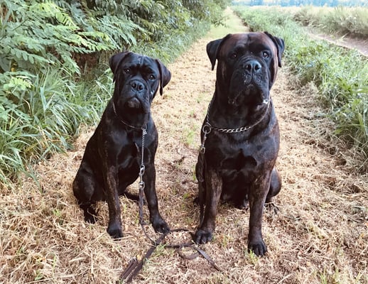 Doris en haar dochter Viva. Augustus 2020