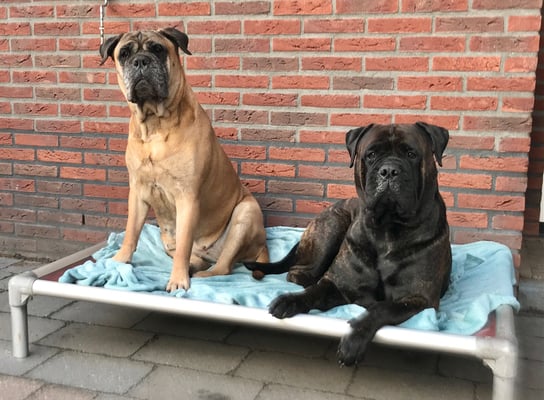 Doris samen met oma Roos dec 20