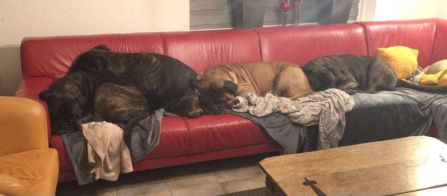 Dit past niet helemaal Doris! december 2022