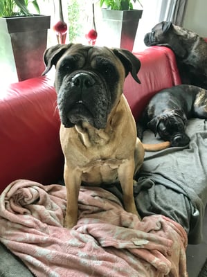 lieve Roos 31 aug. 2020