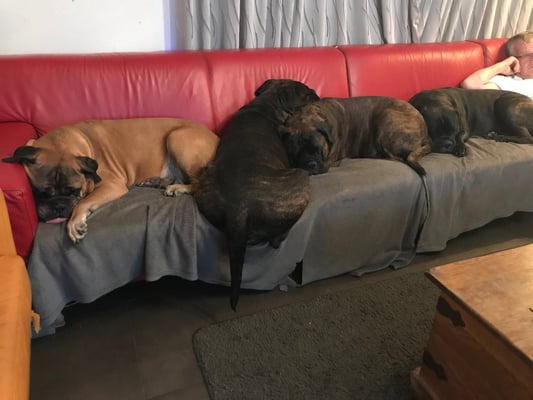 Dat past dus niet Doris! Augustus 2020