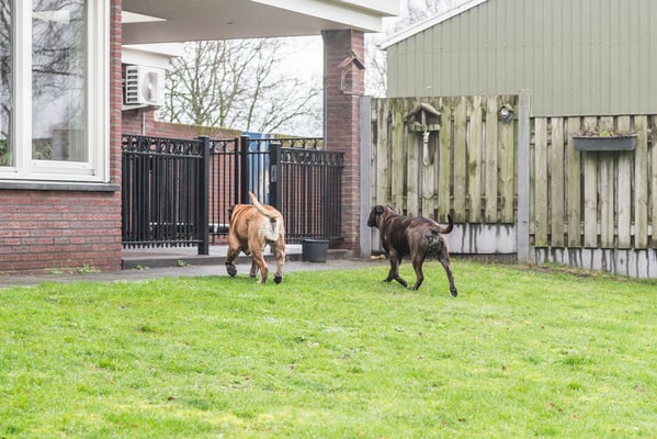 14 januari 2023 samen met halfzus Blacky