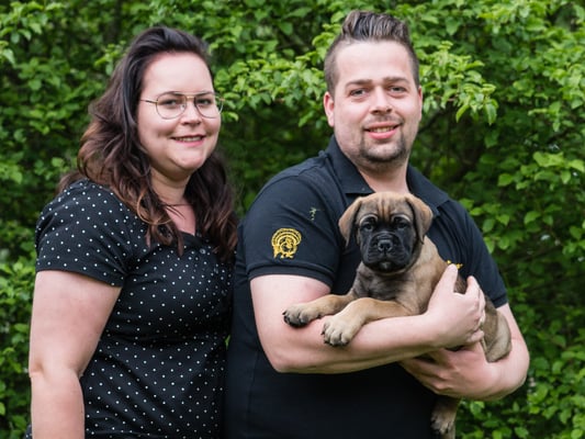 The Peatcutter's French Diamond 'Puck' (bruin)