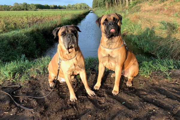 Caro (rechts) en oma Roos. Augustus 2020.