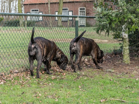 Doris (voor) en dochter Viva 4 februari 2023