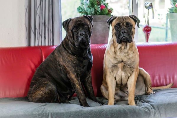 met halfzus (vader) Summer