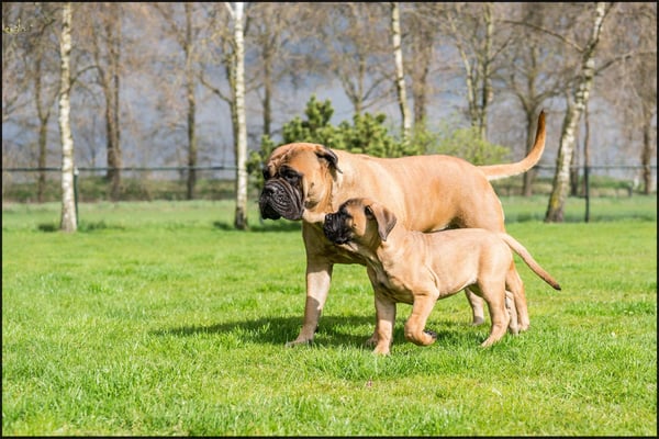 Mama Roos en Neeltje