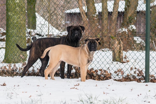 Doris en halfzus (vaderskant) Summer