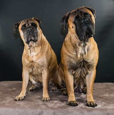 samen met mama Roos december 2018