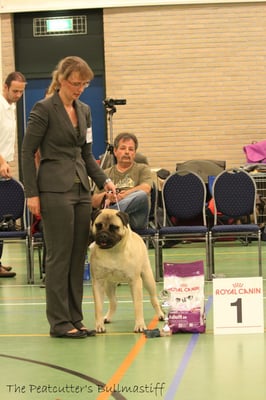 specialty 1 uitmuntend tussen klasse