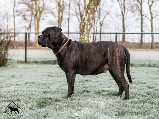 8 januari 2022 (7 wk)