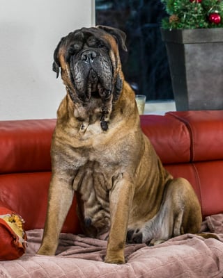 Neeltje 9 jr en 10 mnd oud