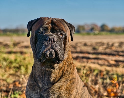 november 2021, foto: Marjelle Otten