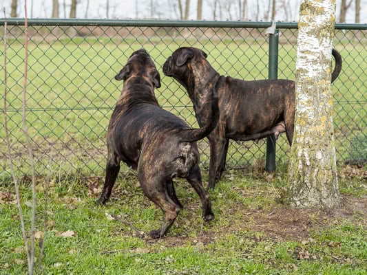 Doris waken (doet ze bijna nooit) 4 februari 2023