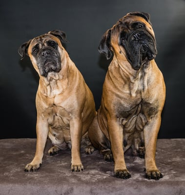 samen met dochter Neeltje december 2018