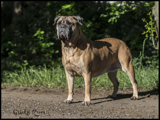 Roos op haar 8e verjaardag