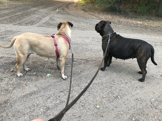 Summer en Doris augustus 2020