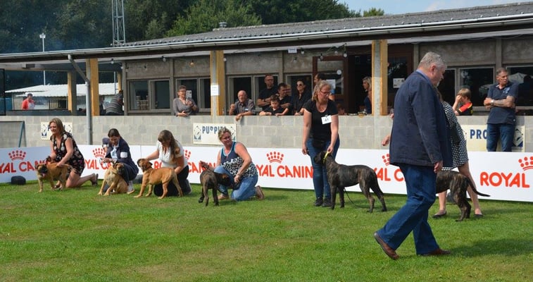 BE clubmatch met Doris