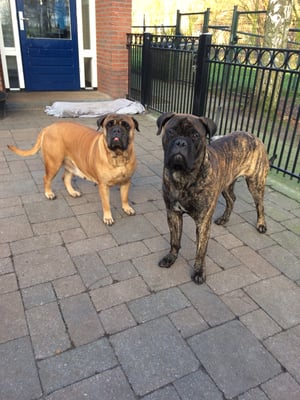 Bear samen met oma Roos