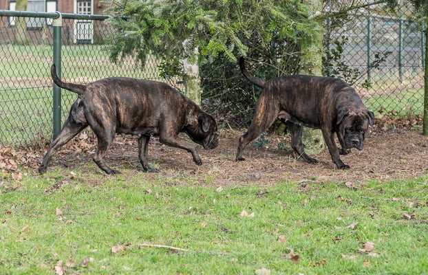 Doris (voor) en dochter Viva 4 februari 2023